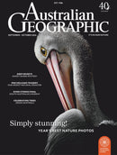issue image