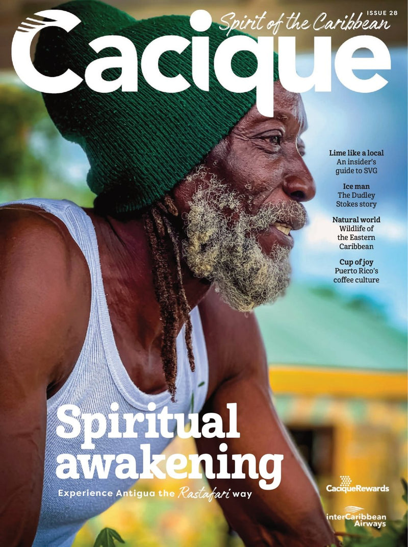 issue image
