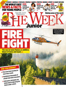 issue image