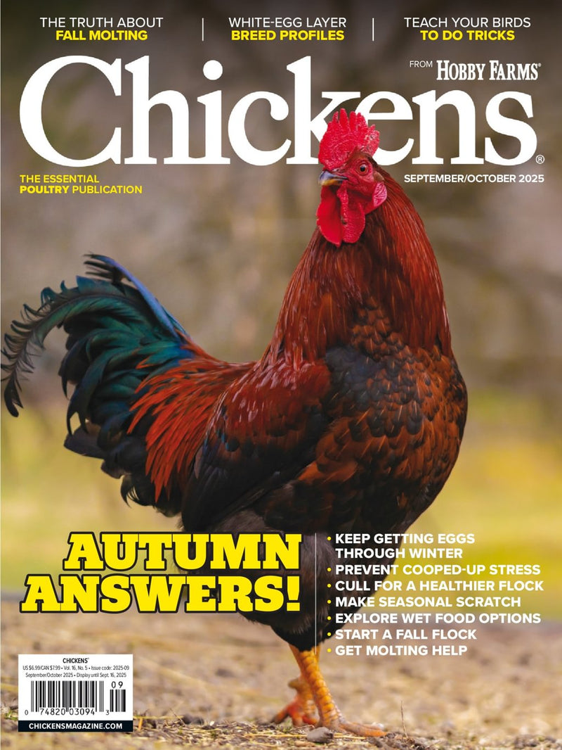 issue image