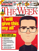 issue image