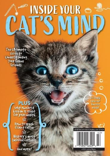 issue image