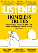 issue image