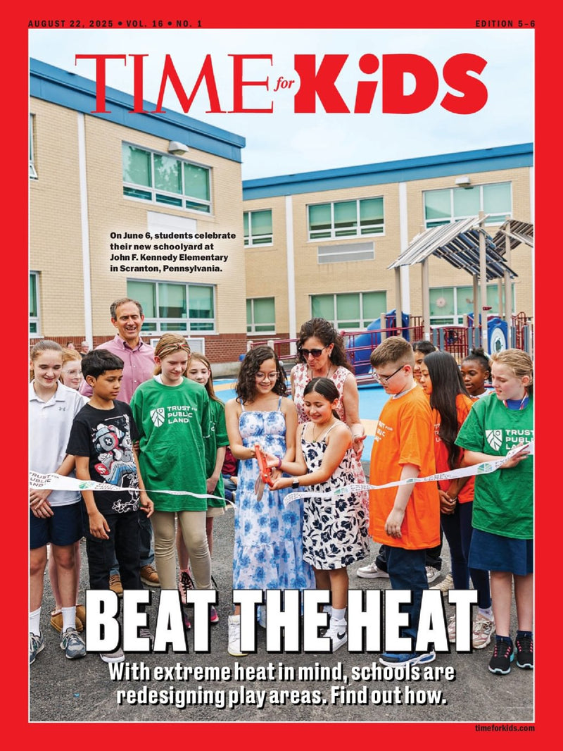 issue image