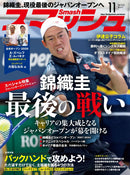 issue image