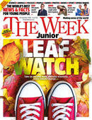 issue image