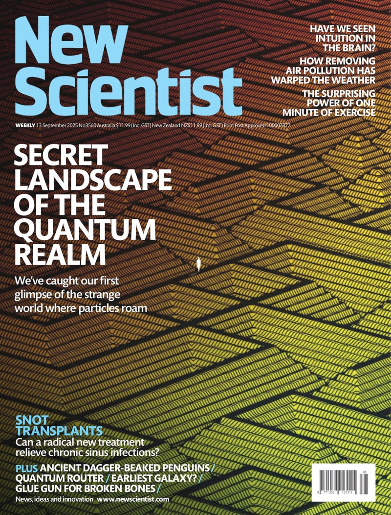 issue image