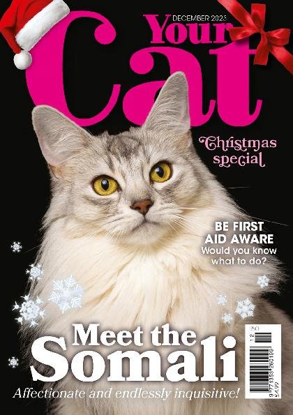 issue image