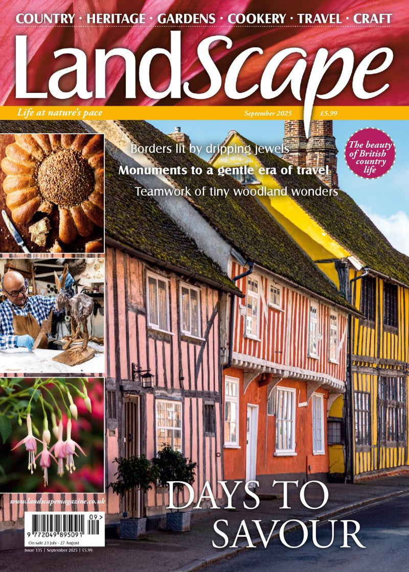 issue image