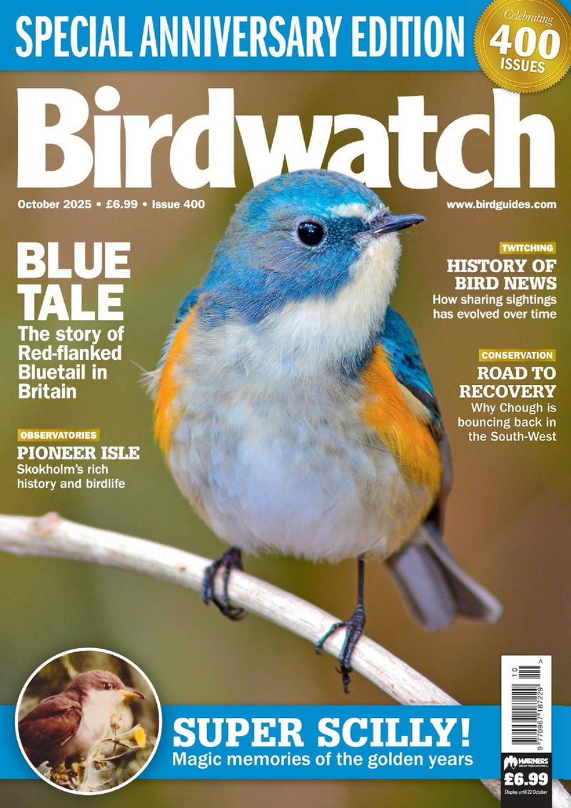 issue image