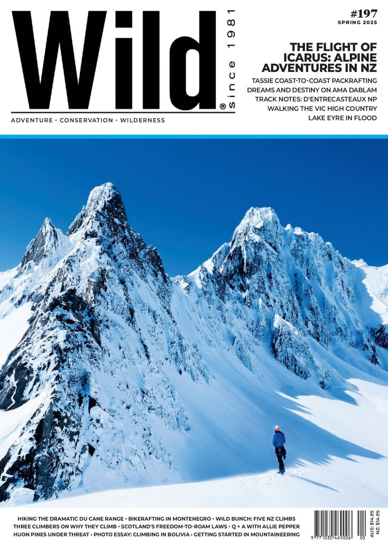 issue image