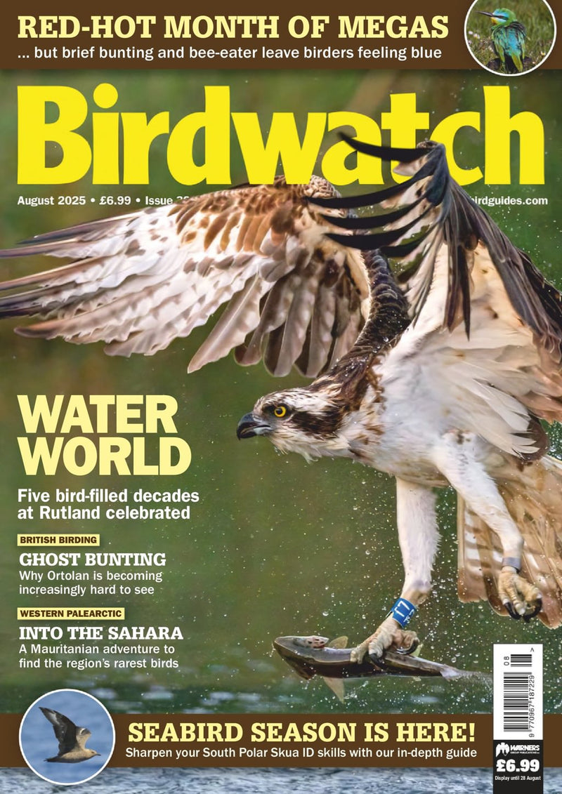 issue image