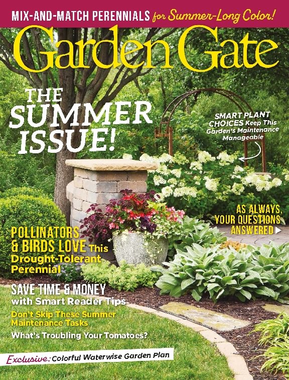 issue image