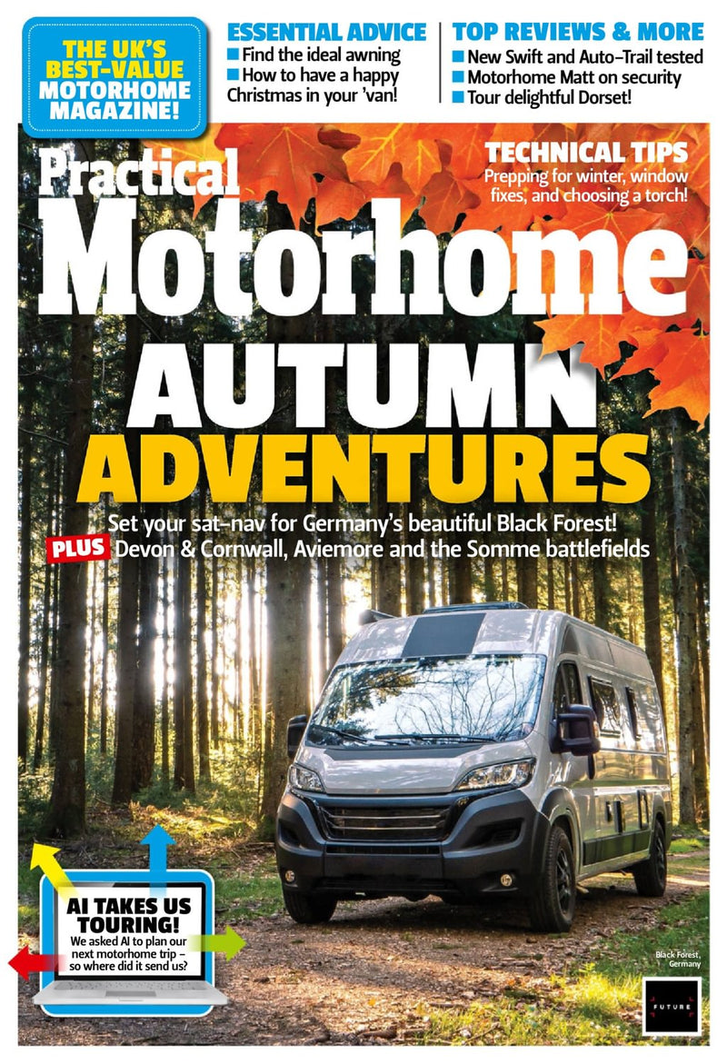 issue image