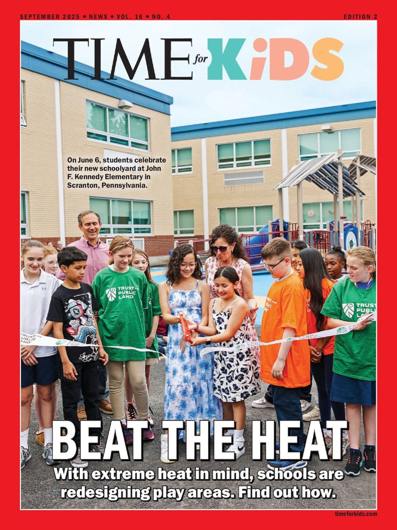 issue image
