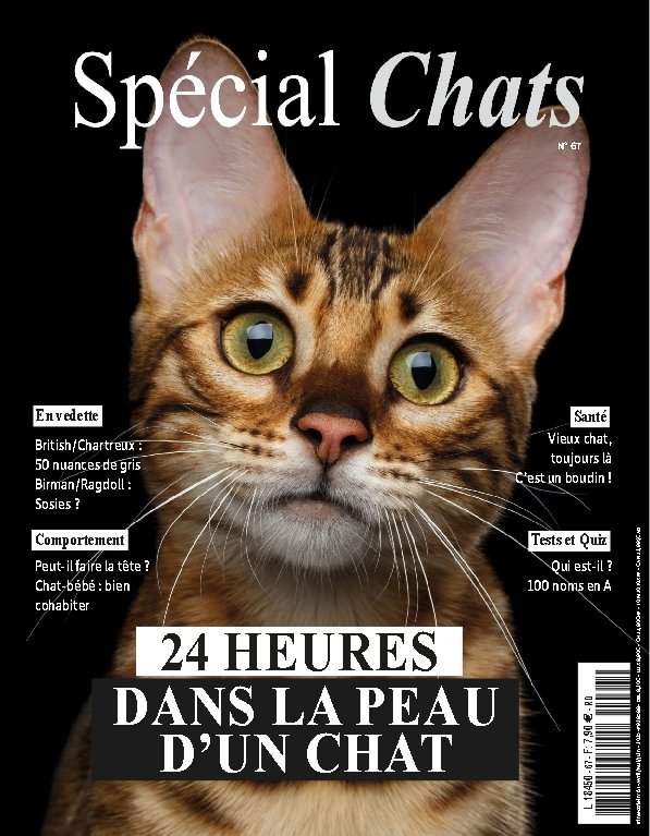issue image