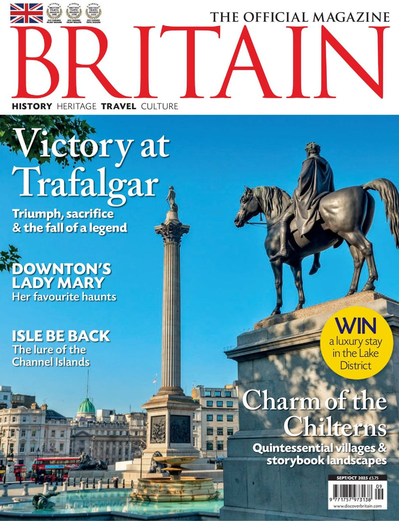 issue image