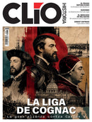 issue image
