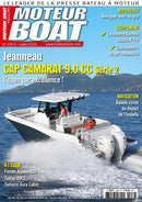 issue image