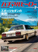 issue image
