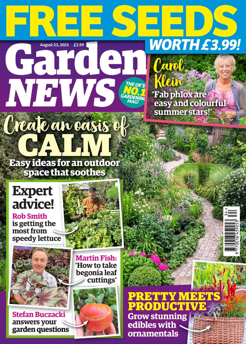 issue image