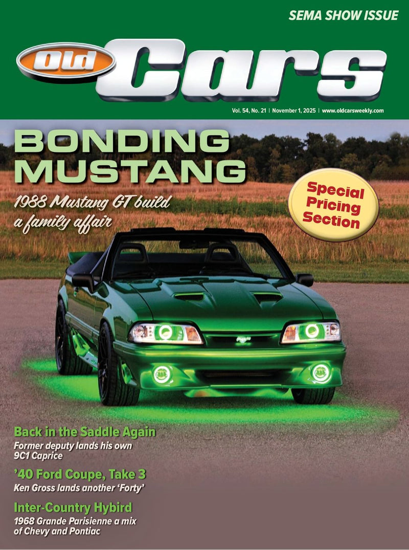 issue image