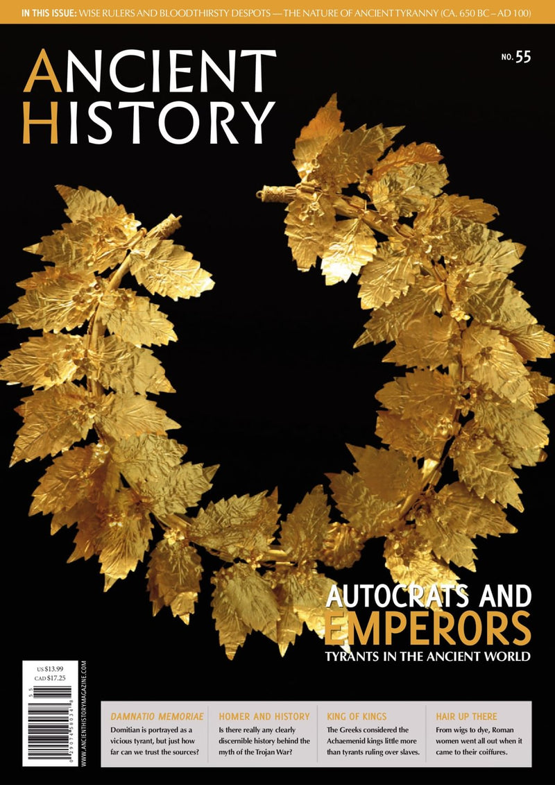 issue image