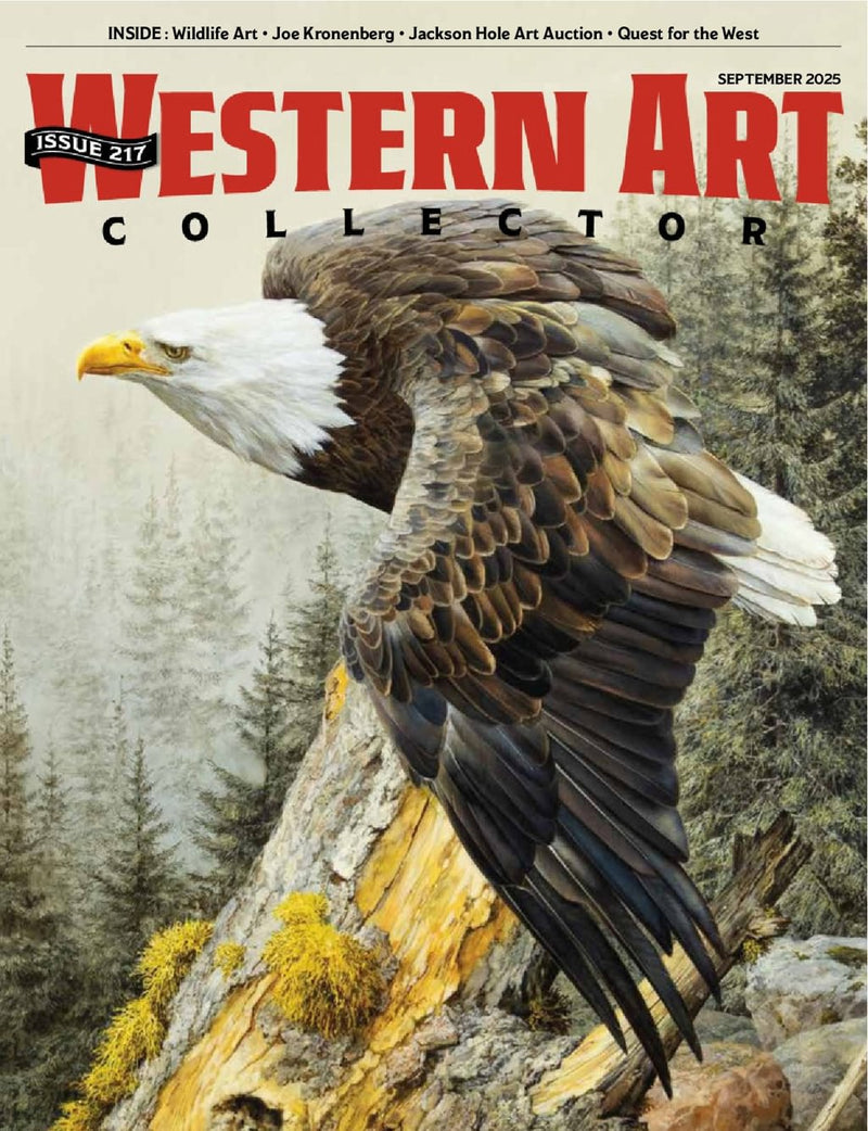 issue image