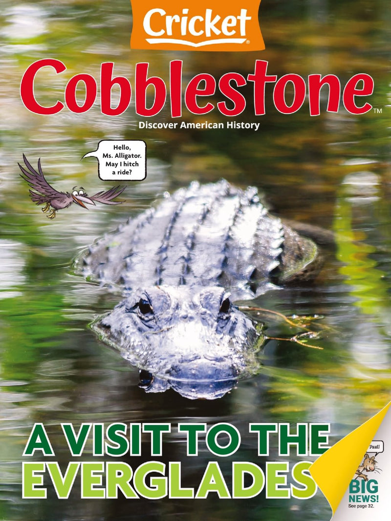 issue image