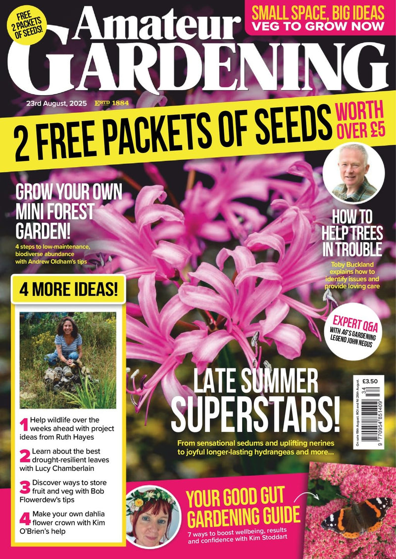issue image