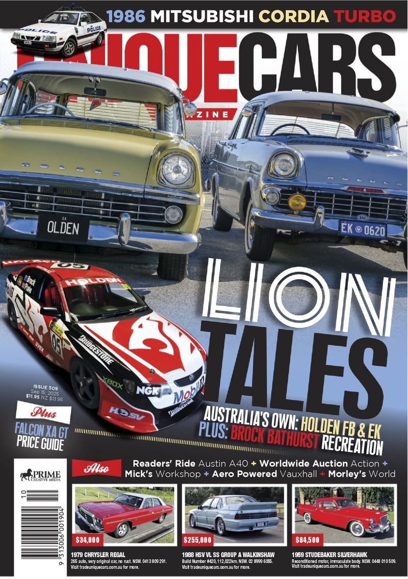 issue image