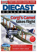 issue image