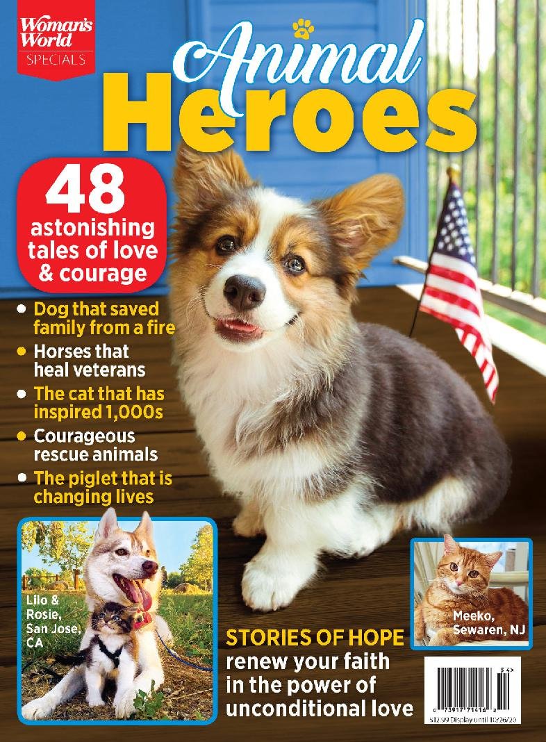 issue image