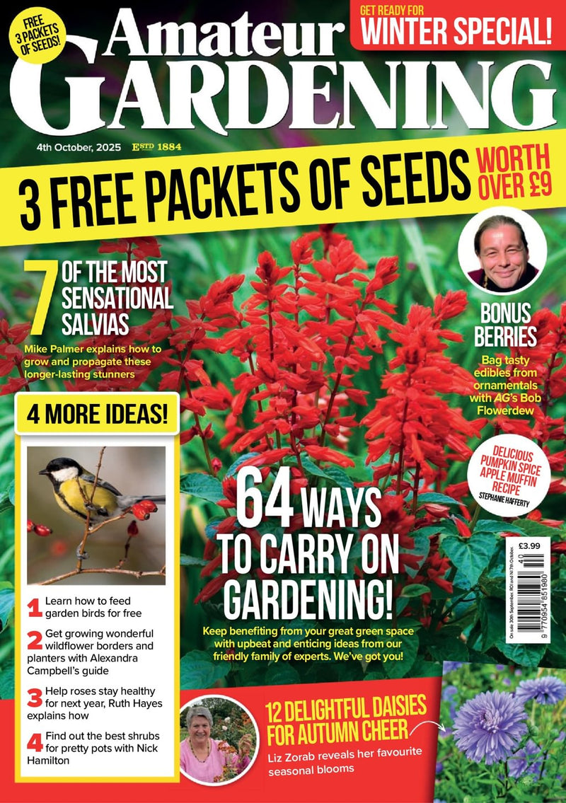 issue image