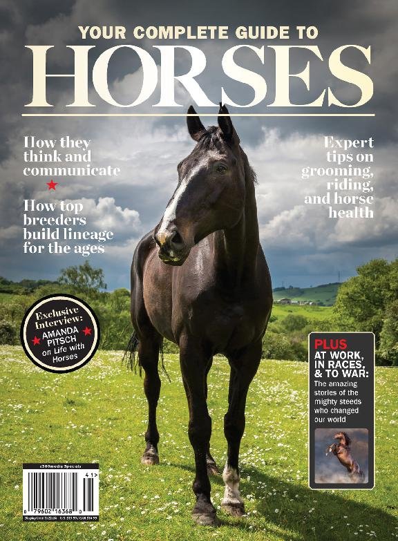 issue image