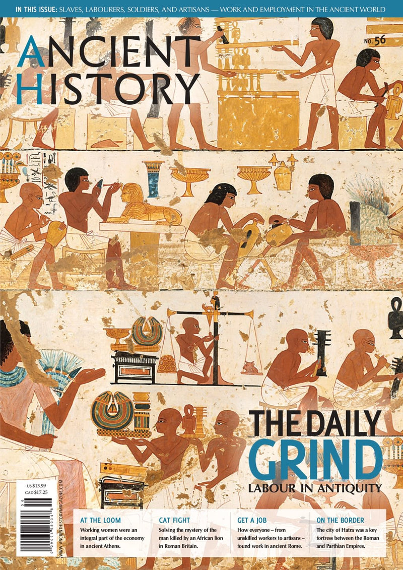 issue image