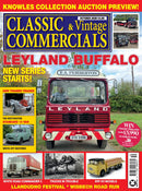 issue image