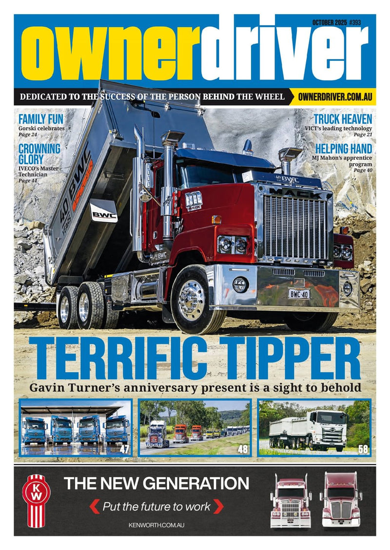issue image