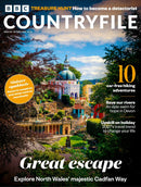 issue image