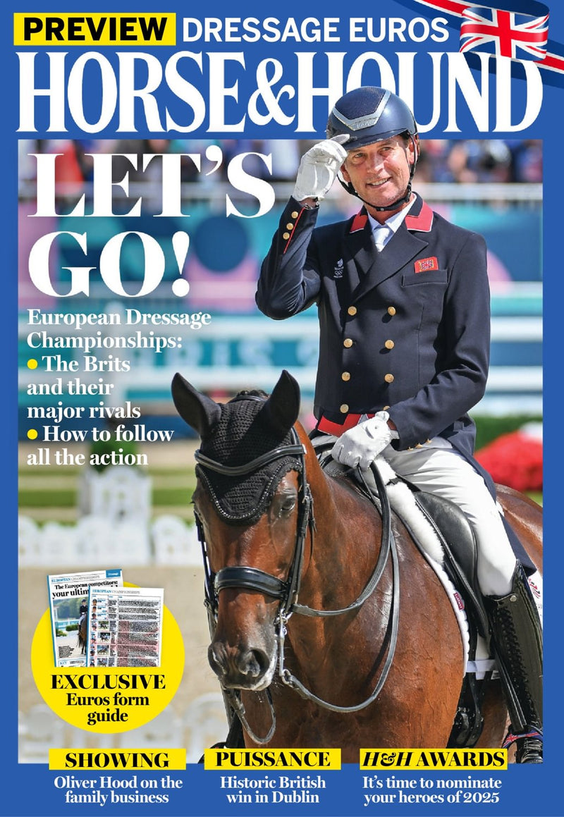 issue image