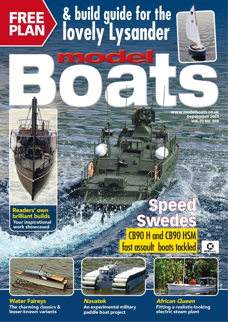 issue image