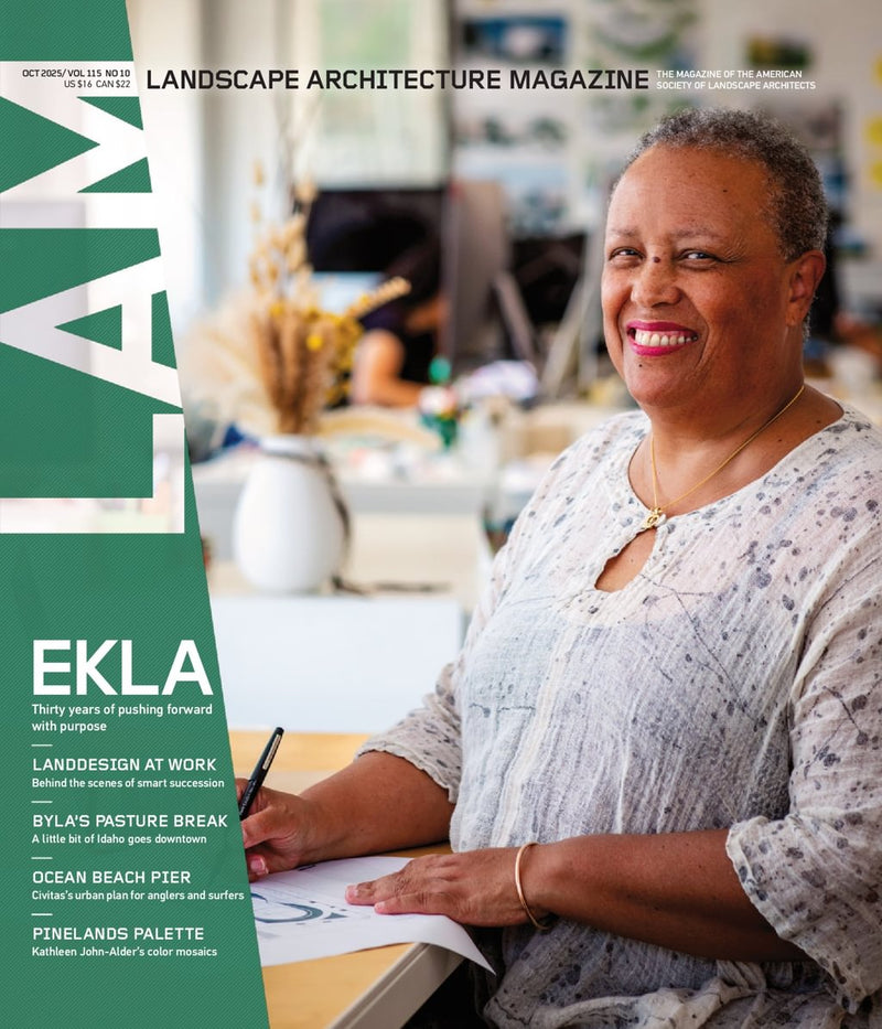 issue image