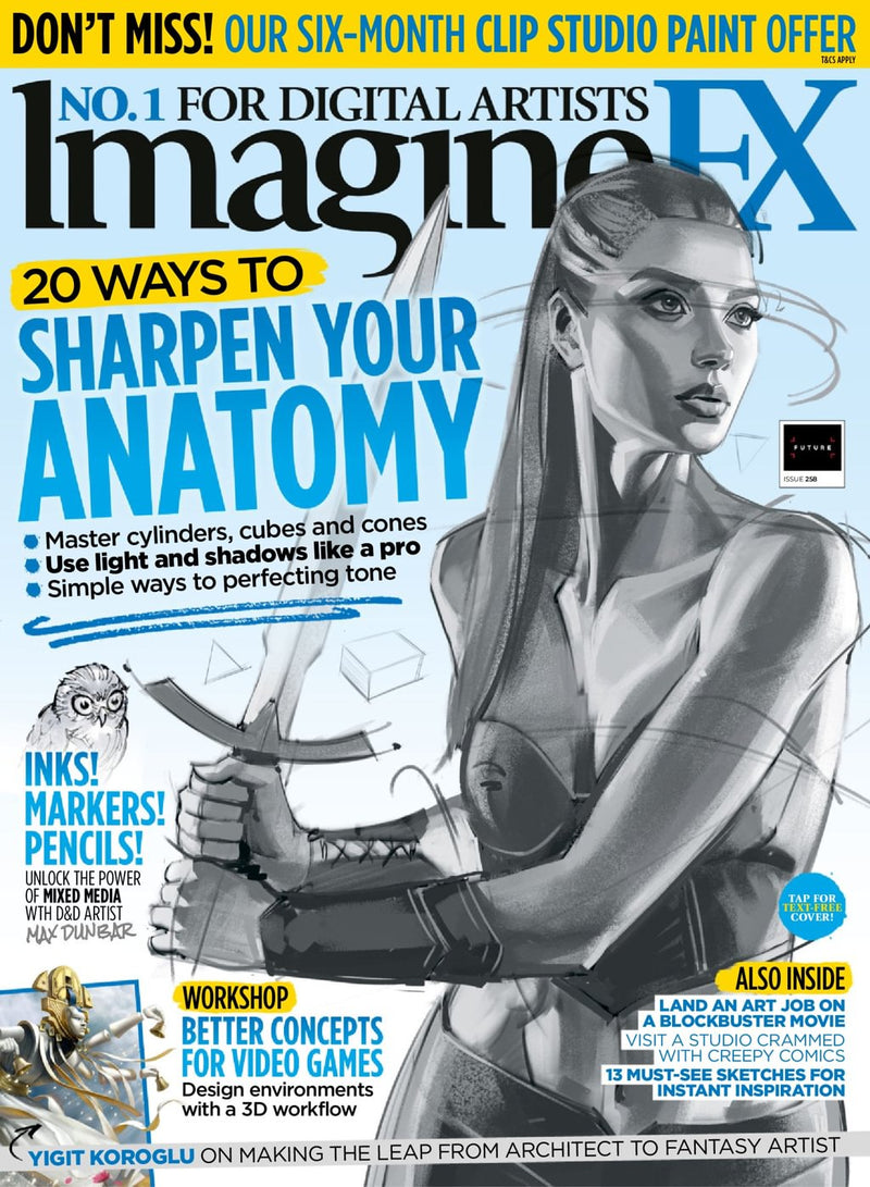issue image