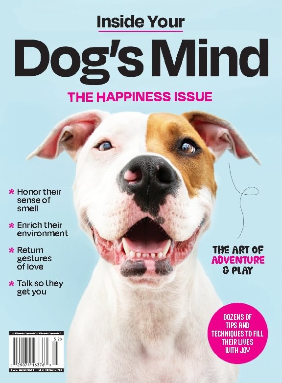 issue image