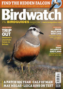 issue image