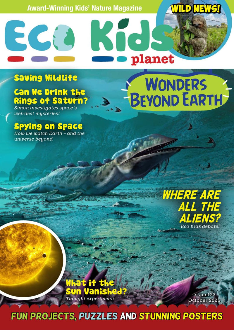 issue image