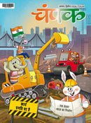 issue image