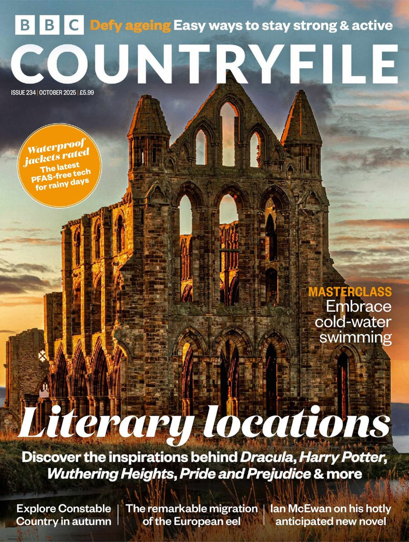 issue image