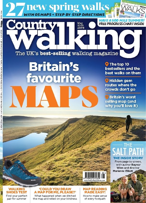 issue image