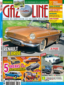 issue image